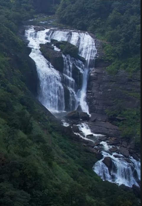 Mallalli Falls trek path through coffee plantations